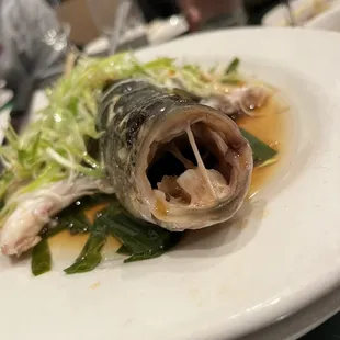 mussels, food, oysters, shellfish, oysters and mussels