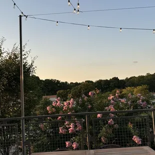 Sunset on the patio.