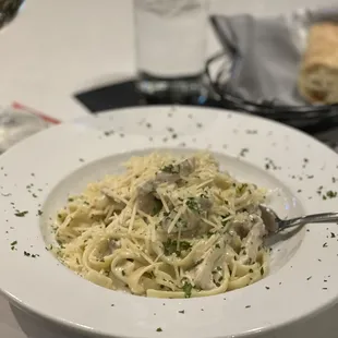 Chicken Alfredo