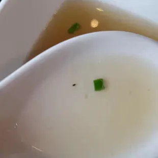 Bugs in food