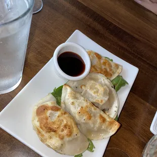 Pan Fried Dumpling