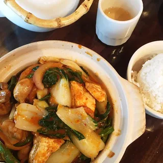 Stewed Tofu and Vegetable in Thai Coconut Curry Sauce Lunch