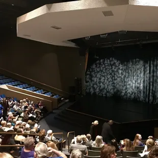 Mid century modern feel Theater :)