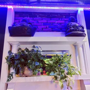 a fire place with plants