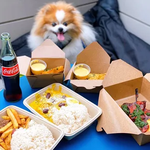 Left to Right: Lomito al Jugo ($17.85), Ají de Gallina ($15.75), Anticuchos de Corazón (2 skewers-$15), Yucca Fries ($5 x2)
