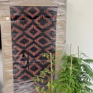 a plant in a plastic container