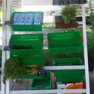 a variety of vegetables