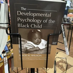 The Developmental Psychology of the Black Child