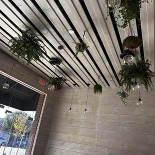 Live plants in the store which was beautiful!