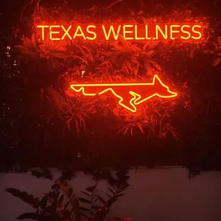 a neon sign that says texas wellness