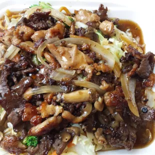 Chicken and beef teriyaki with noodles.