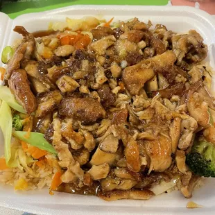 Teriyaki Chicken Plate with fried rice