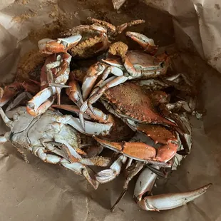 Sansone's Seafood Market