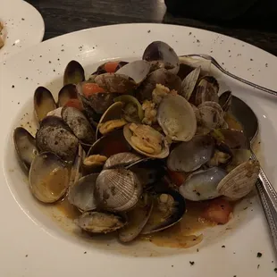 Steamer Clams