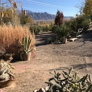 Garden Center Landscape (Fall)