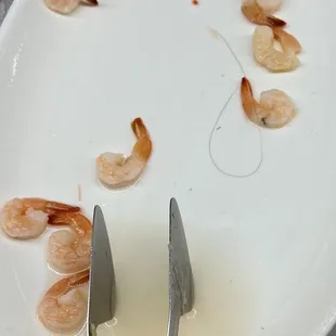 Hair in one of the cold dishes. I guess I will have to pass on this.