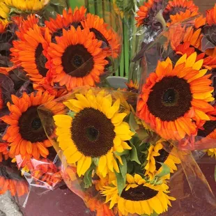 They have the most beautiful flowers