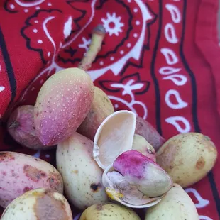 Have you ever seen a fresh pistachio? I hadn&apos;t either! Thank you Robb&apos;s Family Farm!!