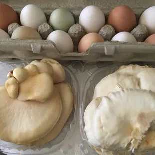 Fresh eggs and oyster mushrooms!