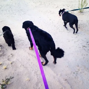 Beach sand in Tucson