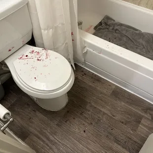 The bloody bathroom