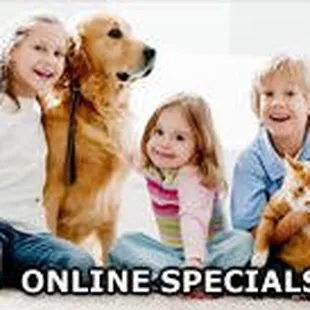Online Vet Specials