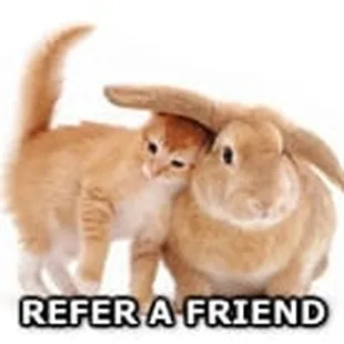 Refer a Friend