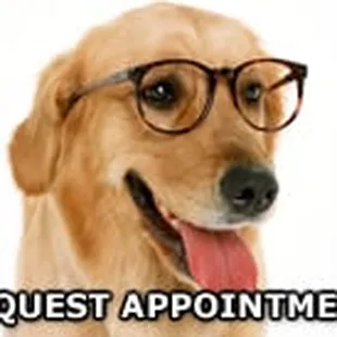 Request a Tucson Vet Clinic Appointment Today!