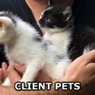 View Our Client Pets