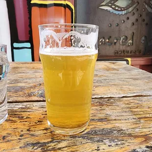  a pint of beer