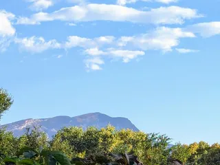 Algodones Distillery