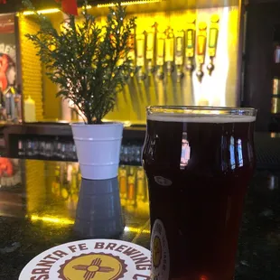 a pint of beer on a bar