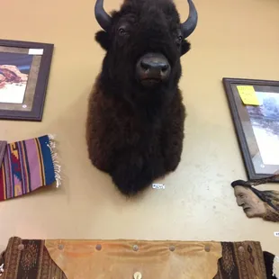 Buffalo heads &amp; long horn cow heads here...