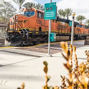 View from patio with Cargo Train rolling by