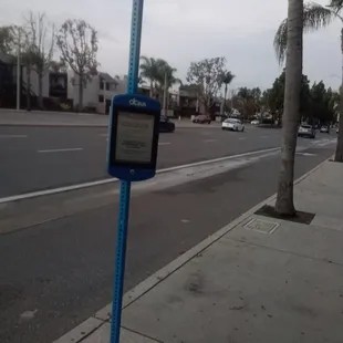 Bravo Northbound Route 53 Stop in Hutton Center