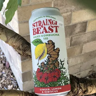 Boozy kombucha not for Chugging in plain sight.