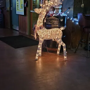 Reindeer at Entrance During the Chtistmas Season