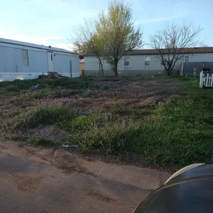 Here a empty Lot, @ Cairns Community on Shields. They haven't mowed this Lot at all. And it's been 6 mos,  &amp; they charge $50 if u don't mow.