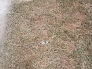 Canadian Shores Manufactured Home Community