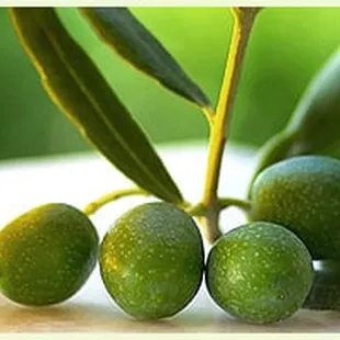 olives on a table