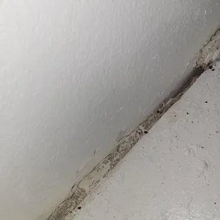 Holes in cabinets for the creepy crawlers