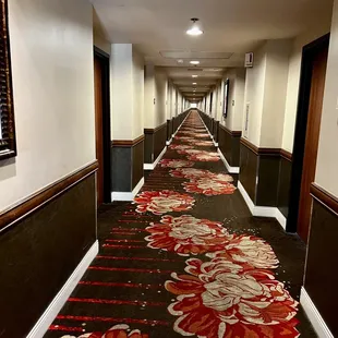 A looong walk to the room from the elevator lobby