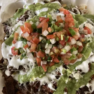 Carne asada fries