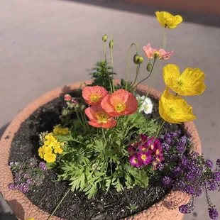 a pot of flowers