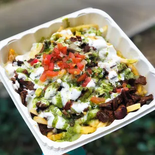 Carne asada fries