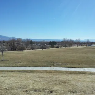 Field of sporty dreams