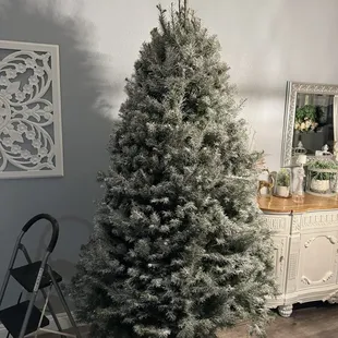 All our trees since we moved to the area have been great