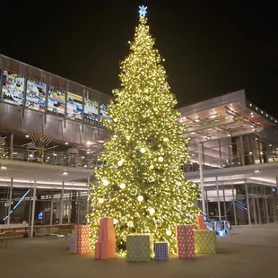 Get that perfect Mall Tree