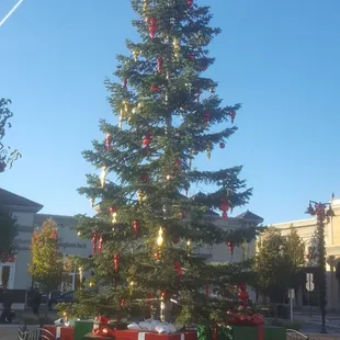 Streets of Brentwood Tree