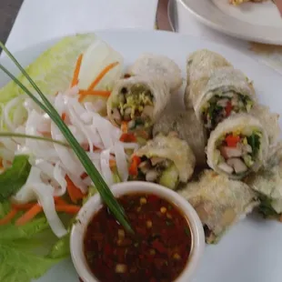 Shiitake and Cactus Spring Rolls